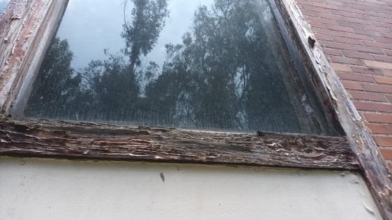 madera (10)