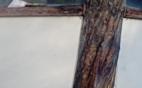 madera (14)