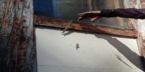 madera (15)