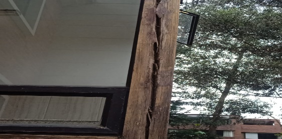 madera (16)