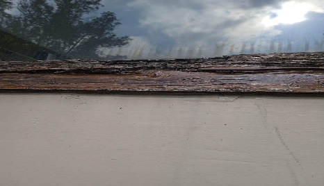 madera (19)