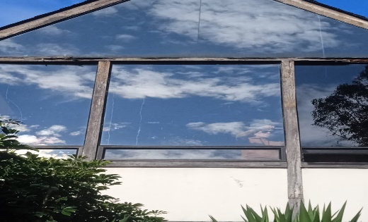 madera (2)