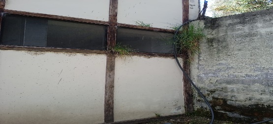 madera (22)