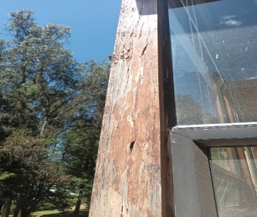 madera (3)