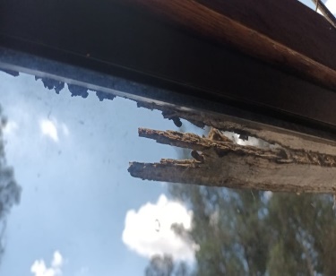 madera (4)