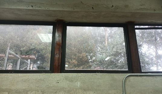 madera (42)