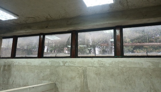 madera (43)