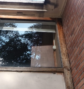 madera (7)